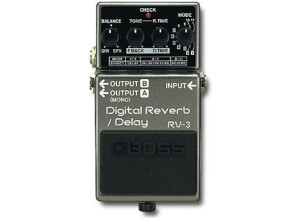 Boss RV-3