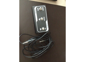 DigiTech JamMan (45074)