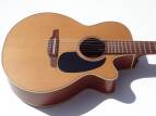 Takamine TAN60C