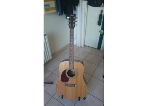 Cort Earth 70 - Natural Satin