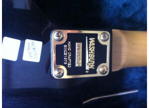 Washburn mg 74 mercury series