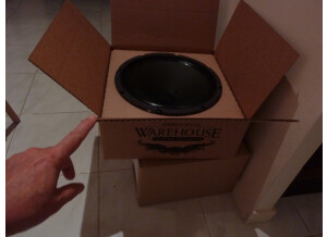 Warehouse Guitar Speakers Green Beret (66393)