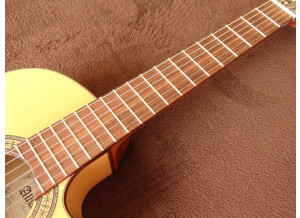 Alhambra Guitars 3F CW E1 (72940)