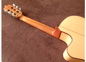 Alhambra Guitars 3F CW E1 (58251)