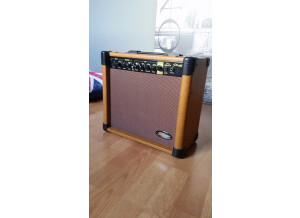 Stagg 20 AA R EU