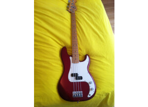 Fender Fender Precision Basse Mex de 2011