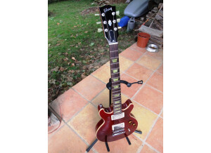 Gibson Les Paul Double Cut DC Pro (44741)
