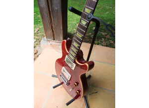 Gibson Les Paul Double Cut DC Pro (92603)