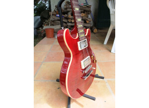 Gibson Les Paul Double Cut DC Pro (60998)