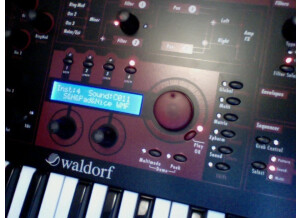 Waldorf Q+ Phoenix (26439)