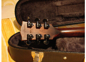 Gibson Les Paul BFG (81099)