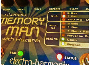 Electro-Harmonix Stereo Memory Man with Hazarai (63746)