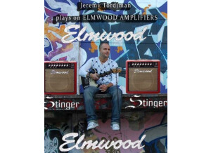 Elmwood Stinger 30 Combo 1x12 (18661)