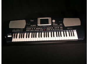 Korg Pa500ORT (14495)