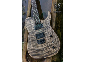 Hufschmid Guitars H6 Singlecut