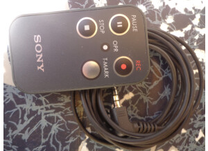 Sony PCM-M10 (66191)