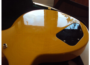 Gibson Les Paul Special DC - TV Yellow (37086)