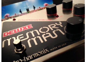 Electro-Harmonix Deluxe Memory Man