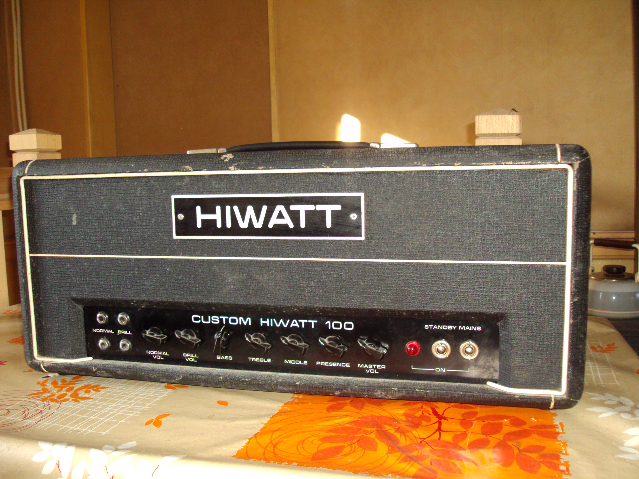 hiwatt bass 100