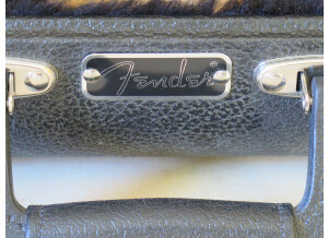 Fender Jaguar/Jazzmaster/Toronado/Jagmaster Multi-Fit Case - Black w/ Black Acrylic Interior