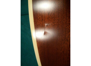 Cort Earth 72 - Natural Satin