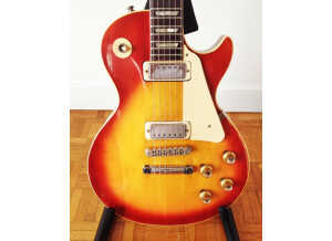 Gibson Les Paul Deluxe (1971) (86995)