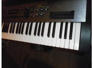 Roland RS-70 (52430)