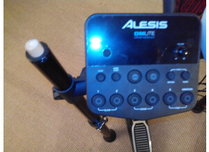 Alesis DM Lite Kit (76456)
