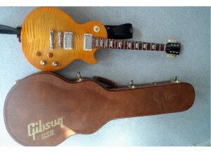 Gibson Gary Moore Les Paul Standard 2013 (73005)