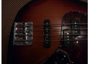 Fender Mexico Artist Signature Series - Reggie Hamilton Jazz Bass 3clr Sb