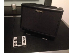Roland AC-33 (67820)