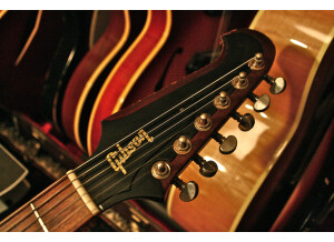 Orville by Gibson Firebird