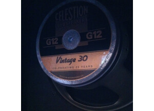 Celestion Vintage 30 (8 Ohms) (41415)