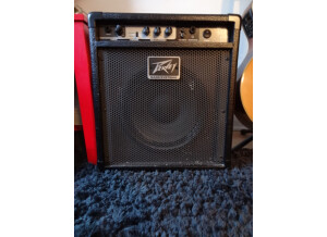 Peavey MAX 110 (6748)