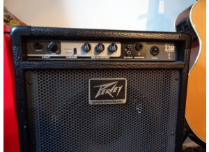 Peavey MAX 110 (49797)