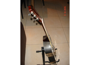 Amistar National Tricone