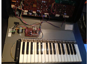 Roland SH-1 (60812)