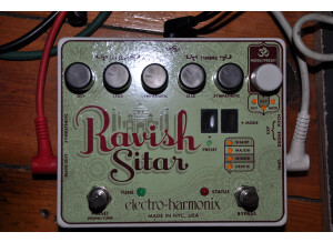 Electro-Harmonix Ravish Sitar (74954)