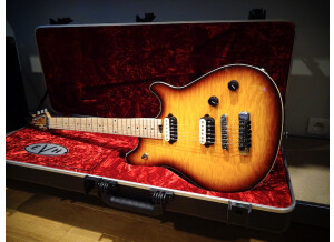EVH Wolfgang Special HT - Tobacco Burst (22178)