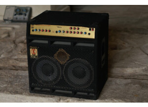 Eden Electronics DC210XLT Metro