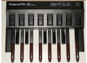 Roland PK-5 (28516)