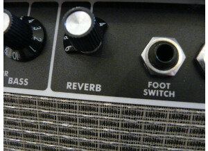 Fender FM 212R (6650)
