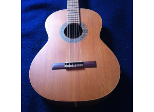 Luthier J. Perez (20360)