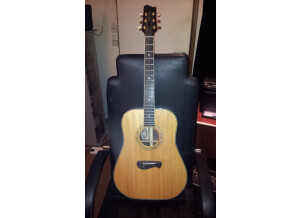 Tacoma Guitars DR28 (37191)
