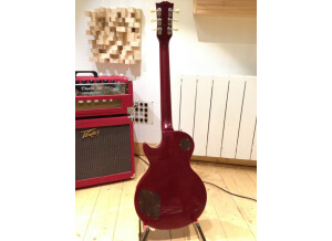 Gibson Les Paul Pre Historic 1960 (80664)