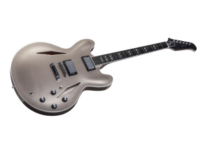 Dave Grohl ES 335 Gold Metallic 4