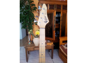 Vigier Excess (2647)