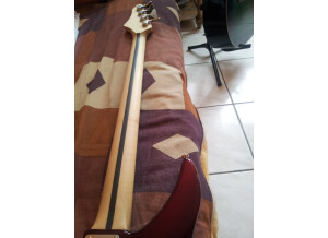 Vigier Excess (91995)