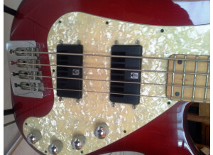 Vigier Excess (42730)