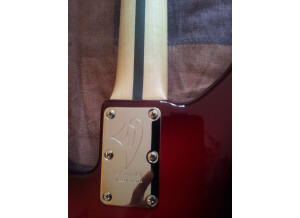 Vigier Excess (32978)